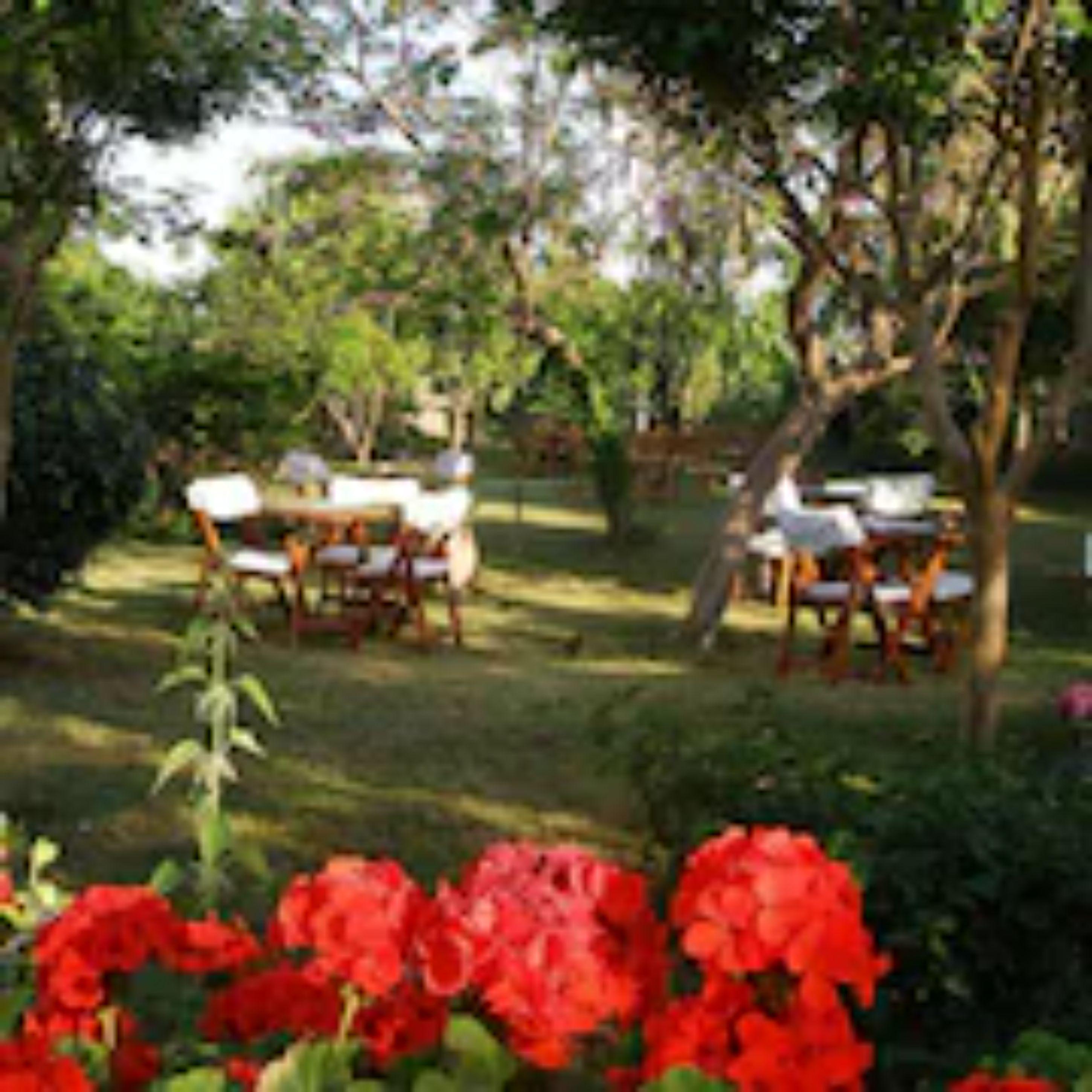 Sevkibey Hotel Αλάνια Εξωτερικό φωτογραφία