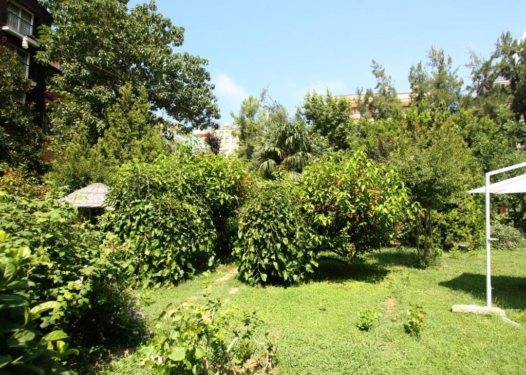 Sevkibey Hotel Αλάνια Εξωτερικό φωτογραφία