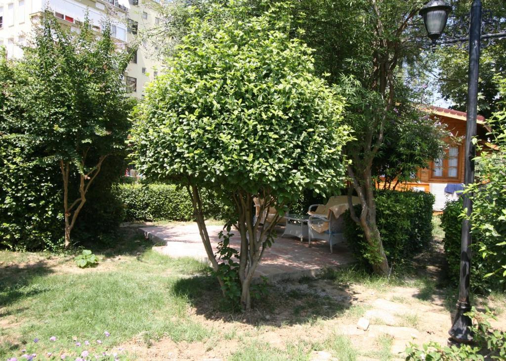 Sevkibey Hotel Αλάνια Εξωτερικό φωτογραφία
