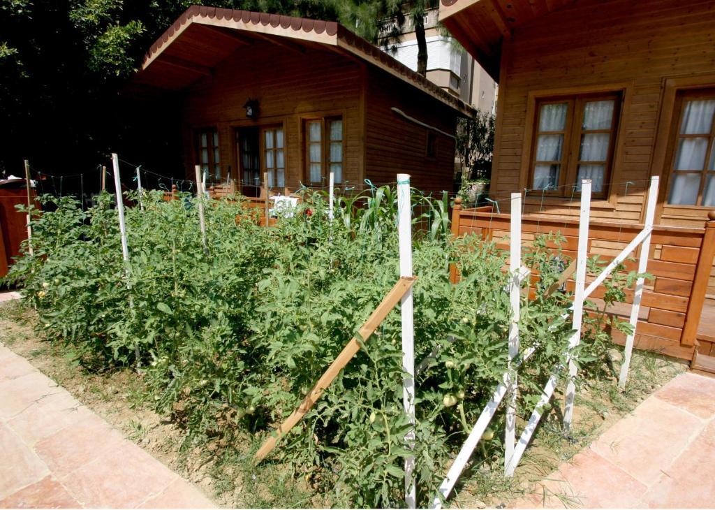 Sevkibey Hotel Αλάνια Εξωτερικό φωτογραφία