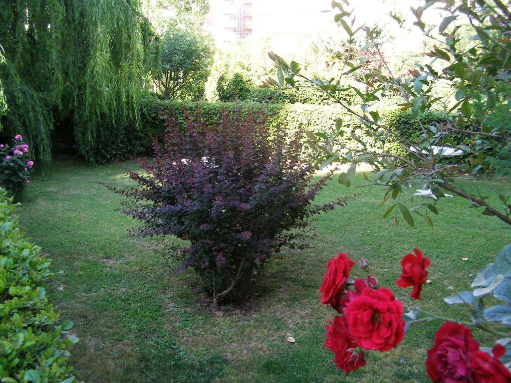 Sevkibey Hotel Αλάνια Εξωτερικό φωτογραφία