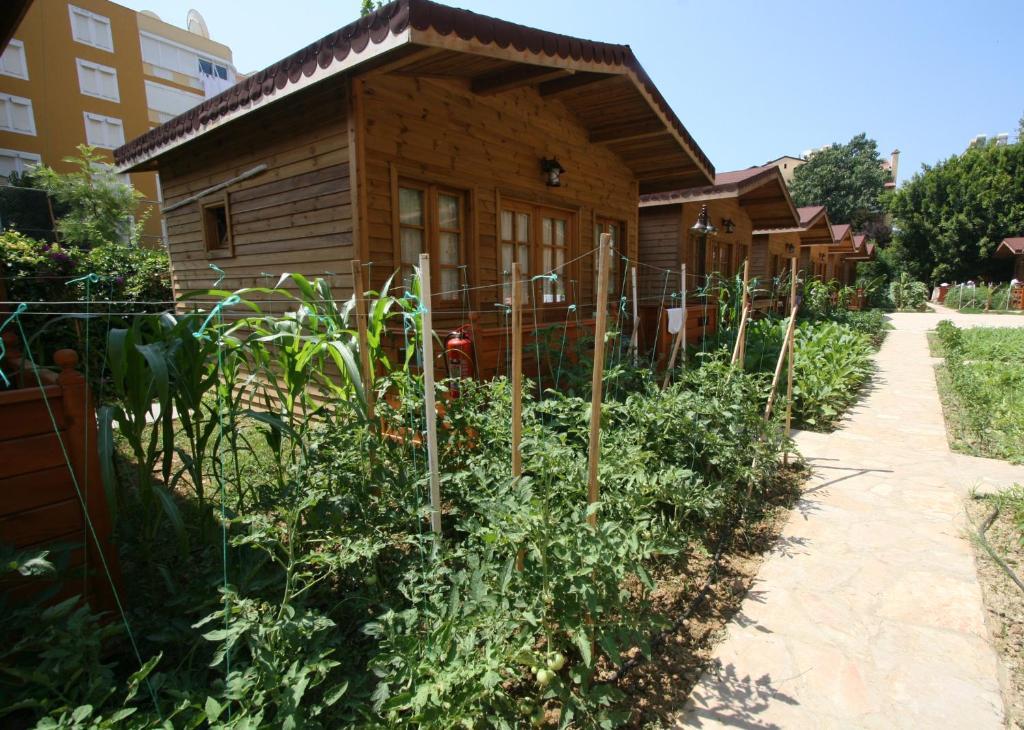 Sevkibey Hotel Αλάνια Εξωτερικό φωτογραφία